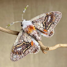 Load image into Gallery viewer, Embroidered Butterfly / Moth Brooch - Trovelore
