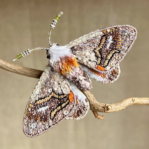 Embroidered Butterfly / Moth Brooch - Trovelore