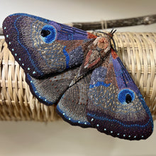 Load image into Gallery viewer, Giant Silk Moth Sculpture - Trovelore
