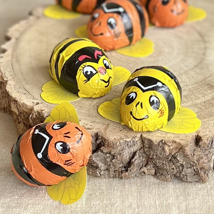 Fine Milk Chocolate Ladybirds and Bees - Baur