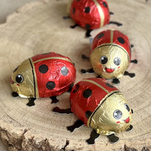 Load image into Gallery viewer, Fine Milk Chocolate Ladybirds and Bees - Baur

