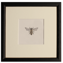 Load image into Gallery viewer, Bee print - Claire Vaughan Designs
