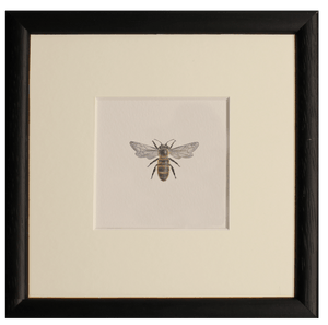 Bee print - Claire Vaughan Designs