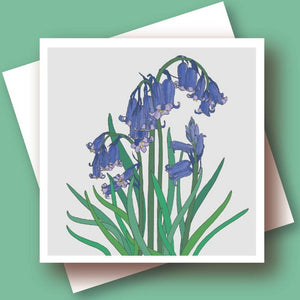 Greetings cards - Umbellifer