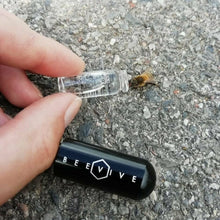 Load image into Gallery viewer, Bee Revival Kit Keyring - Beevive
