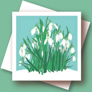 Greetings cards - Umbellifer