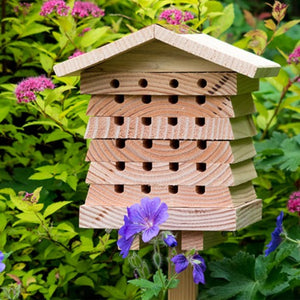 Interactive solitary bee hotel - Wildlife World