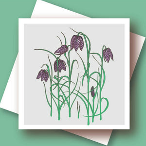 Greetings cards - Umbellifer