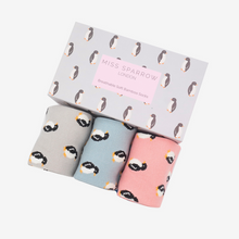 Load image into Gallery viewer, Bamboo Socks Box (3 pairs) - Miss Sparrow
