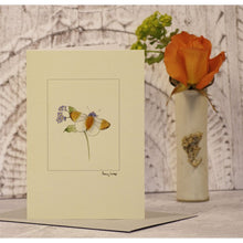 Load image into Gallery viewer, Greetings Cards - Papersheep
