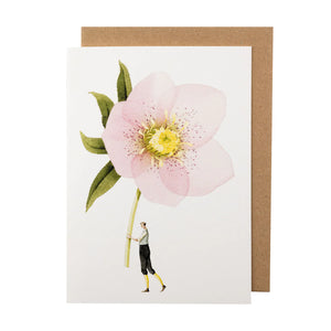 Greetings cards - Laura Stoddart