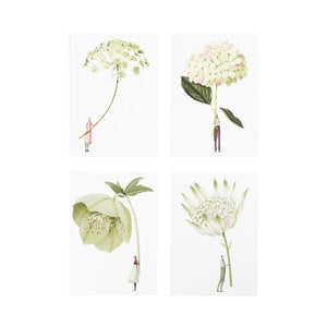 In Bloom notecards - Laura Stoddart