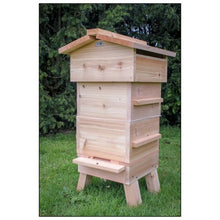 Load image into Gallery viewer, Warre Hive Brood Body with observation panel
