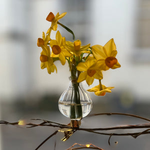 Clip on Glass Bud Vases - set of 3