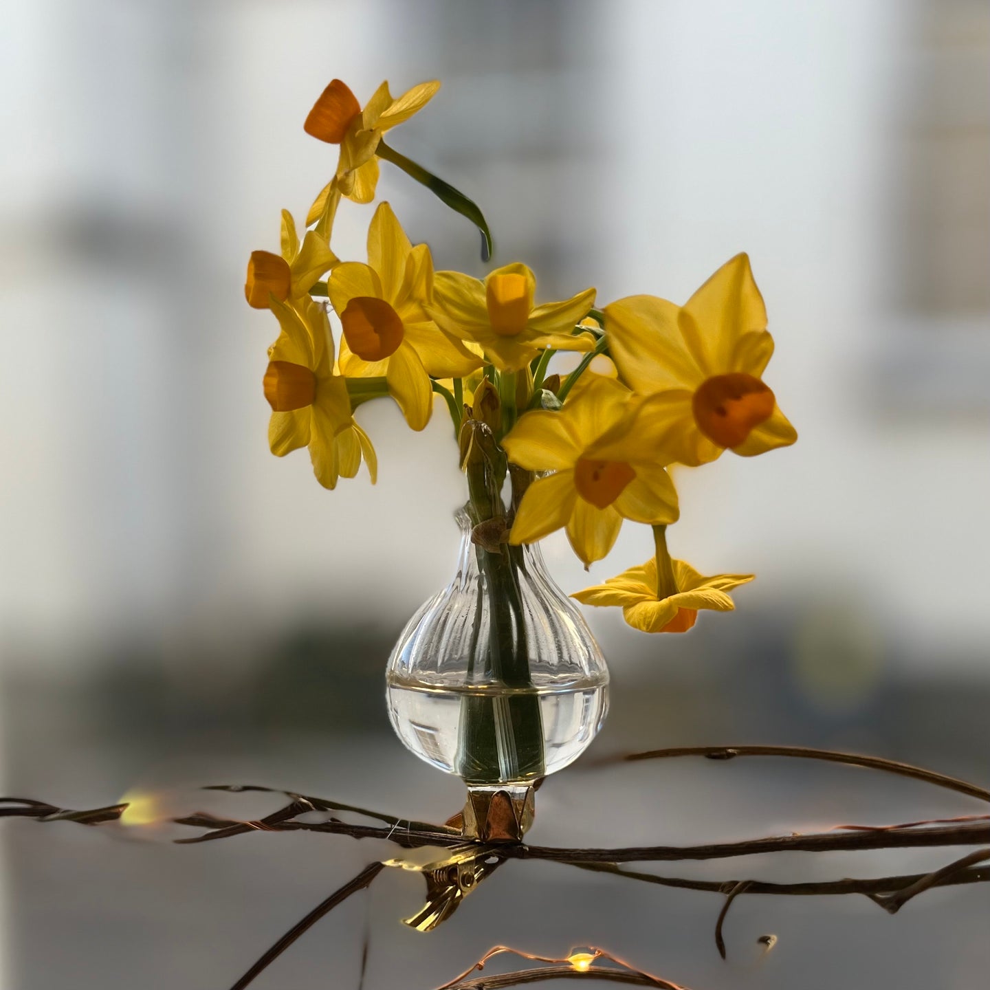 Clip on Glass Bud Vases - set of 3