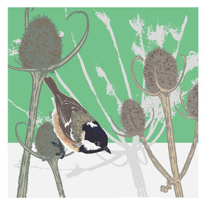 Greetings cards - Umbellifer