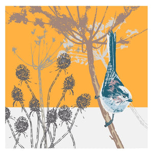 Greetings cards - Umbellifer