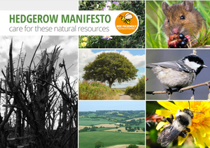 Hedgerow Manifesto