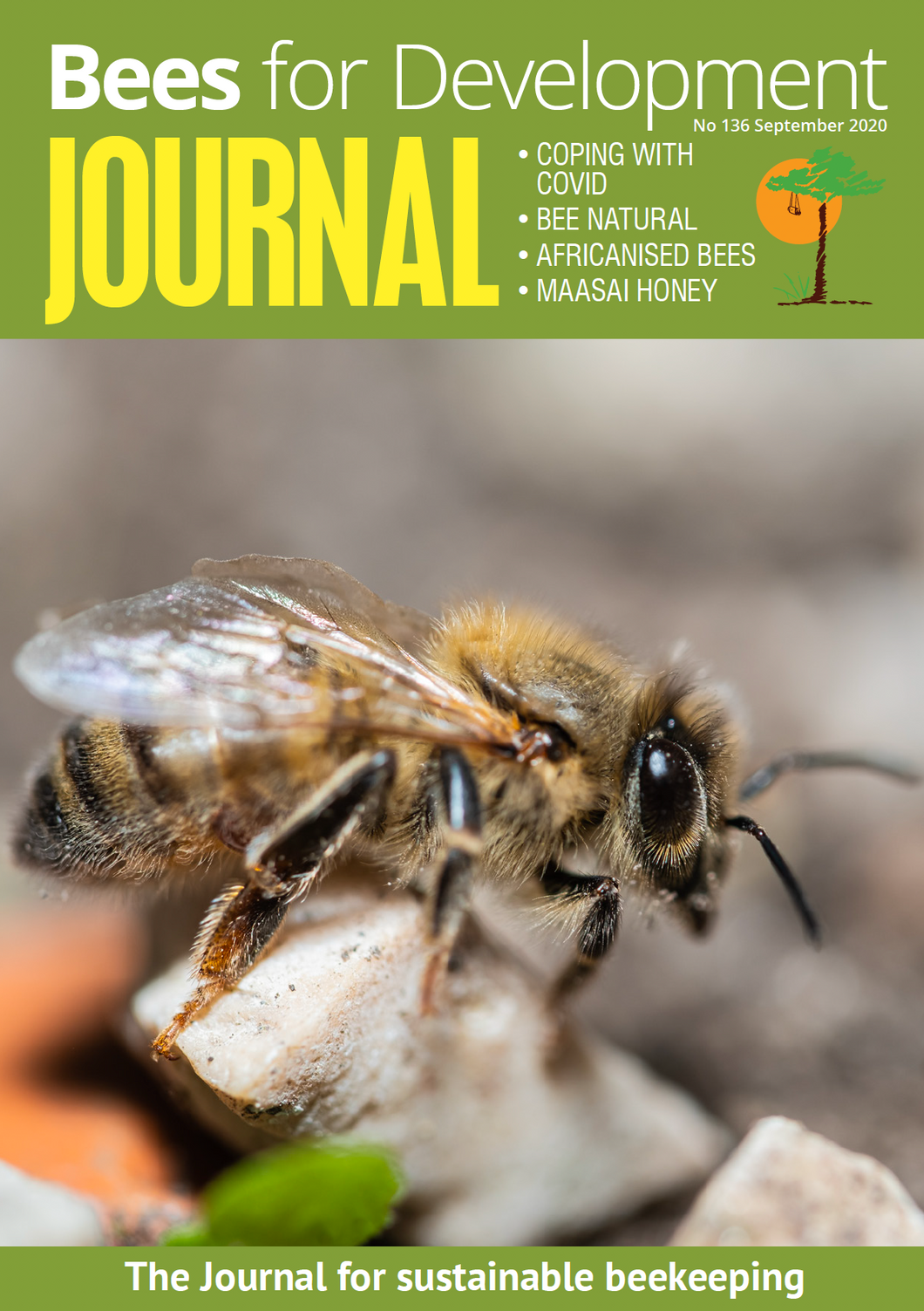 Bees for Development Journal Edition 136, September 2020 (Digital download PDF)