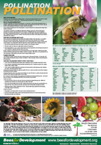 Beekeeping training posters