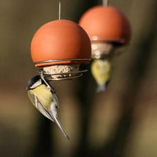 Load image into Gallery viewer, Birdball Belle Bird Feeder - Green &amp; Blue
